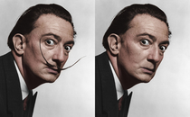 If Dali Had no Mustache