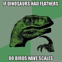 If dinosaurs had feathers