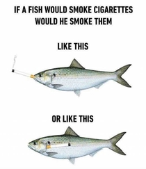 If fish smoked