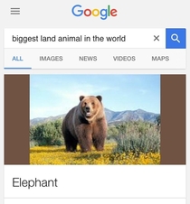 If Google says so