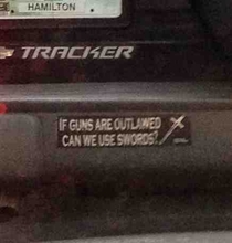 If guns are outlawed