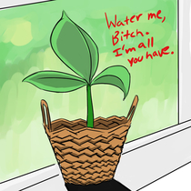 if houseplants knew their worth