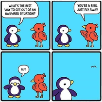 If i was a bird