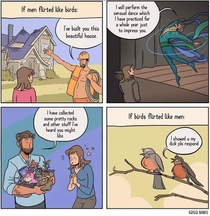 If men flirted like birds by Kasia Babis