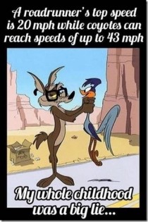 If only Wile E knew