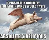 If pigs could fly
