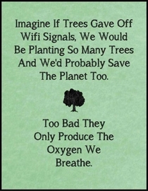 If trees gave of wifi