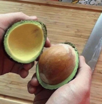 if  was an avocado