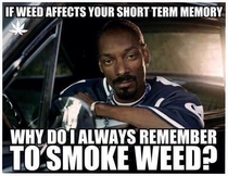 If weed effects your short term memory
