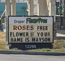 If you dont want to give away flowers just say so