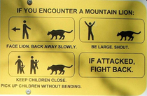 If you encounter a mountain lion Pictorial warning explained in comments