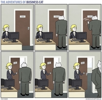 If you had a cat as a boss