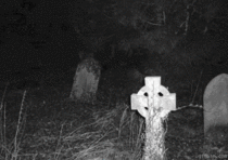If you look really closely theres a ghost in this cemetery