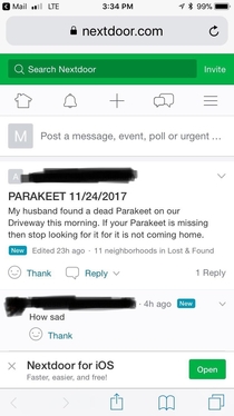 If you lost your Parakeet quit looking