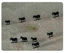 If you rotate your phone the number of donkeys will increase
