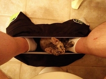 If you shits I fits