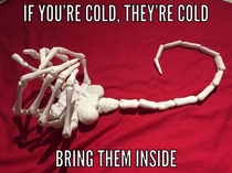If youre cold theyre cold