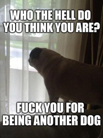 if youve ever owned a dog you will understand this perfectly