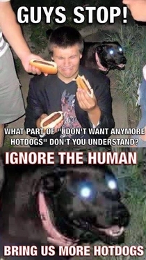 Ignore the human bring us more hot dogs