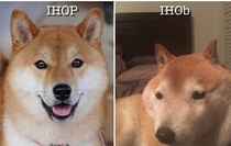 IHOP vs IHOB