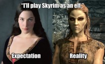Ill play Skyrim as an elf 