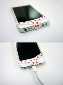 Ill see your perverted Japanese cell phone case and raise you a pair of iPhone panties
