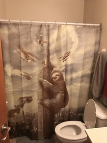 Ill see your shower curtain and raise you a shower curtain