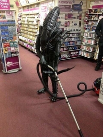 Illegal aliens taking our jobs