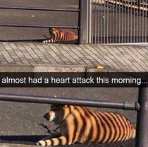 Illusion 