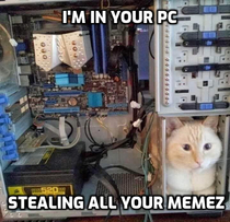 Im in your PC stealing all your memez