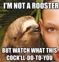 Im not a rooster