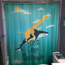 Im not single but now I have the shower curtain of my dreams