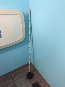 Im not sure what led to the creation of the worlds longest plunger but Im glad I missed it