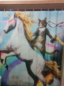 Im single I picked my shower curtain and I want to jump on the bandwagon