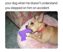 Im sorry boi
