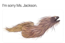 Im Sorry Ms Jackson