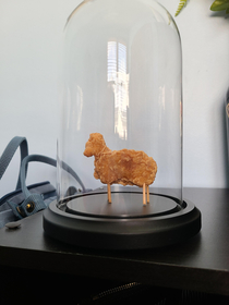 Im the owner of the lamb chicken nugget and it now resides in its own display case