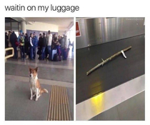 im waiting my luggage