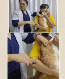Imagine going to the vet to get you pet injected but then you feel pain in your arm