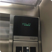 Imagine trying to get to your apartment but the elevator locks you in and shows you this