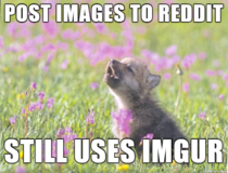 Imgur has always been a friend to me