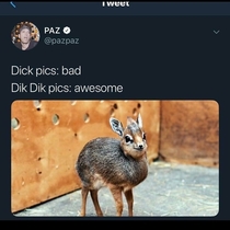 In a world of dicks be a Dik Dik