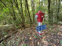 In Austria we have very explosive trees hence the fire hydrants scattered throughout our woods