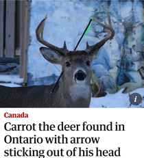 In Canada we dont take our arrows to the knee We take out arrows to the head
