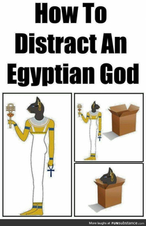 In case you find yourself in the presence of an Egyptian goddess always carry a box