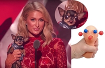 In case you missed it last night here is Paris Hilton squeezing her dog