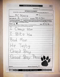 In  prosecutors in the UK asked a Police dog for evidence This was submitted to court
