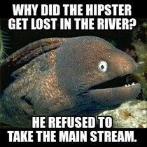 In response to the other hipster eel
