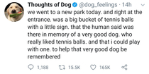 In the mind of a dog