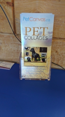 In the waiting room of the vet my boyfriend points to this pamphlet scoffs and says They have a freakin college for pets now